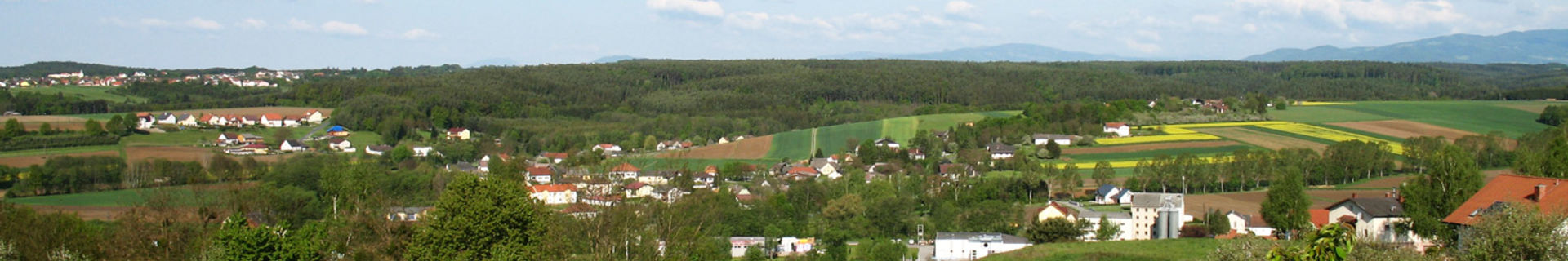 Litzelsdorf - ein Dorf zum Leben!